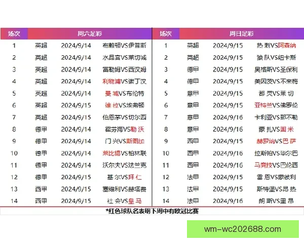探索体育竞猜新天地尽享高赔率与精准分析带来的游戏体验