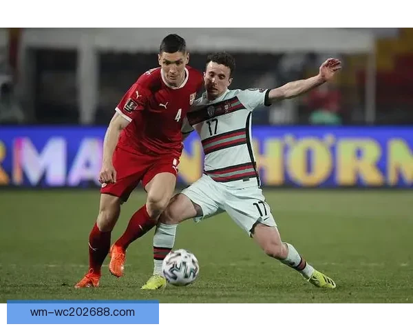 世界杯竞猜赛事推荐全攻略助你精准分析轻松赢取精彩比赛收益